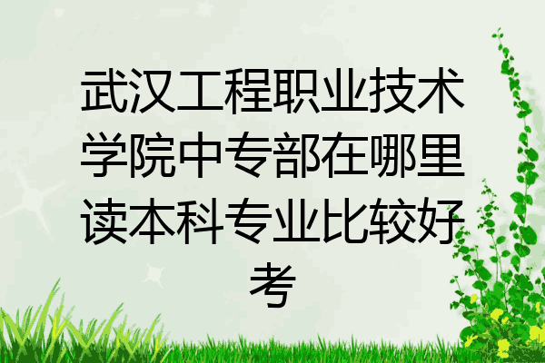 武汉工程职业技术学院中专部在哪里读本科专业比较好考