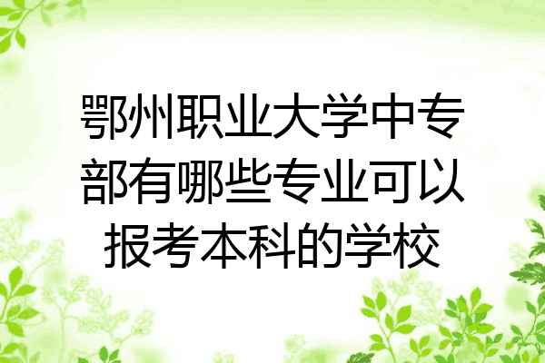 鄂州职业大学中专部有哪些专业可以报考本科的学校