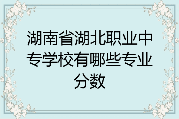 湖南省湖北职业中专学校有哪些专业分数