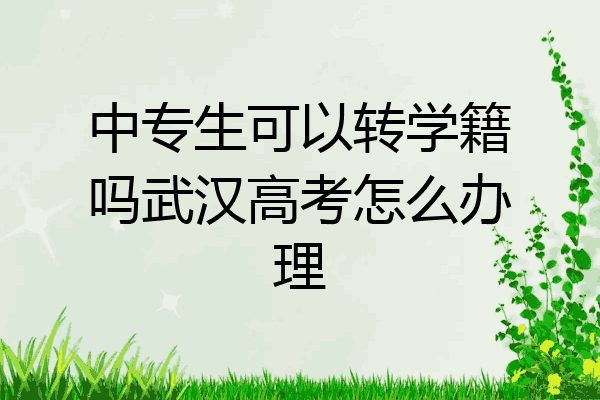 中专生可以转学籍吗武汉高考怎么办理