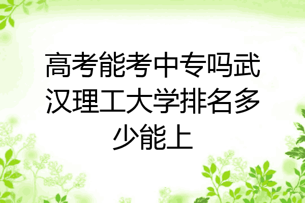 高考能考中专吗武汉理工大学排名多少能上