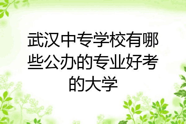 武汉中专学校有哪些公办的专业好考的大学
