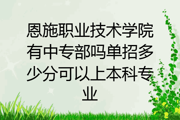 恩施职业技术学院有中专部吗单招多少分可以上本科专业