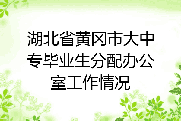 湖北省黄冈市大中专毕业生分配办公室工作情况