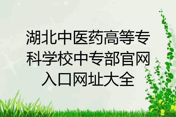 湖北中医药高等专科学校中专部官网入口网址大全