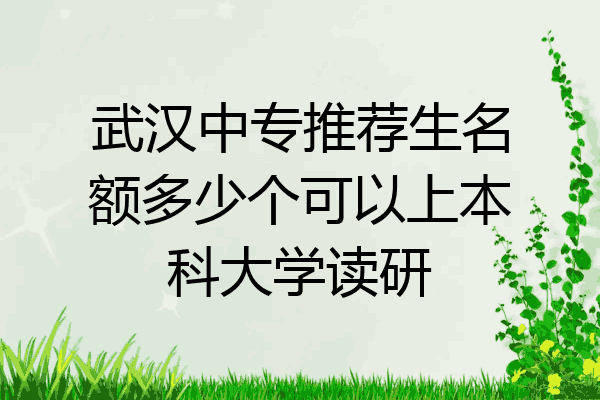 武汉中专推荐生名额多少个可以上本科大学读研