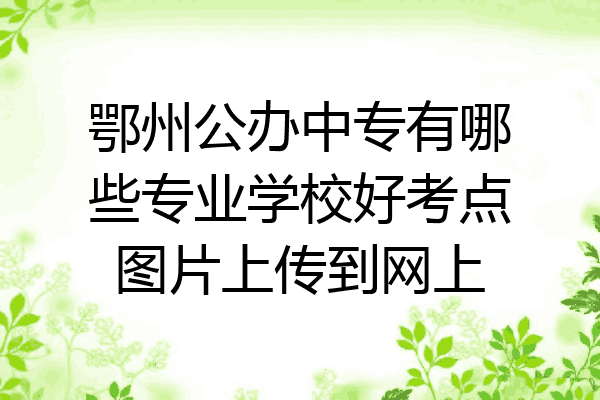 鄂州公办中专有哪些专业学校好考点图片上传到网上