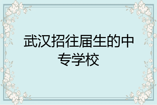 武汉招往届生的中专学校