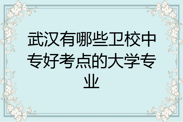 武汉有哪些卫校中专好考点的大学专业