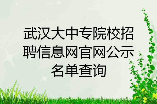 武汉大中专院校招聘信息网官网公示名单查询