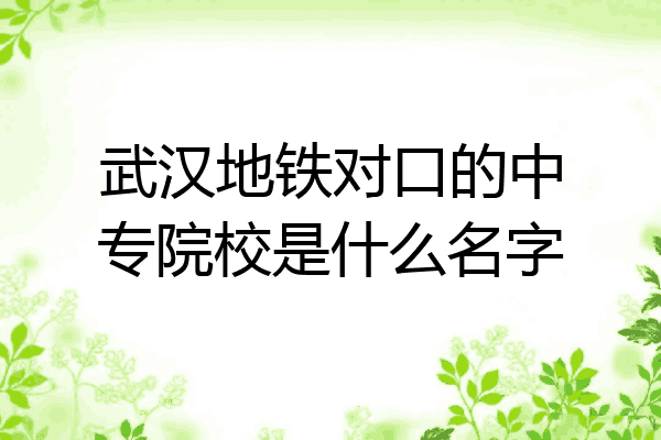 武汉地铁对口的中专院校是什么名字