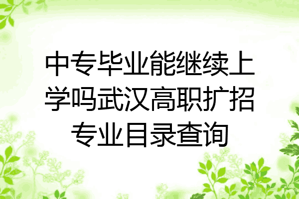 中专毕业能继续上学吗武汉高职扩招专业目录查询