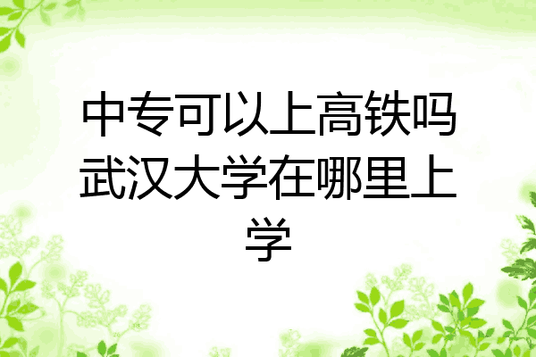 中专可以上高铁吗武汉大学在哪里上学
