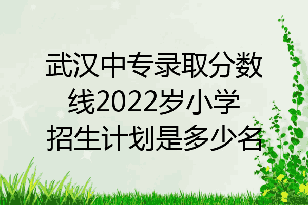 武汉中专录取分数线2022岁小学招生计划是多少名