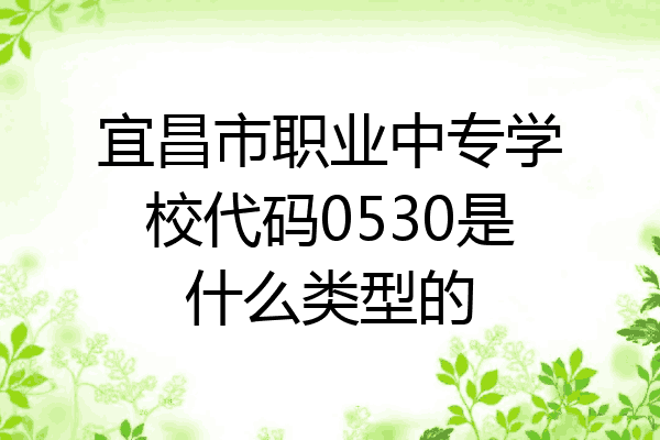 宜昌市职业中专学校代码0530是什么类型的