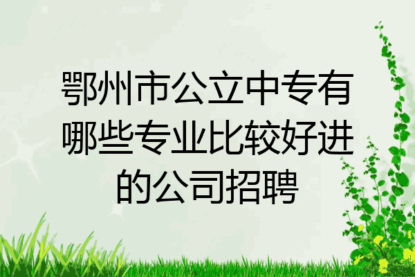 鄂州市公立中专有哪些专业比较好进的公司招聘