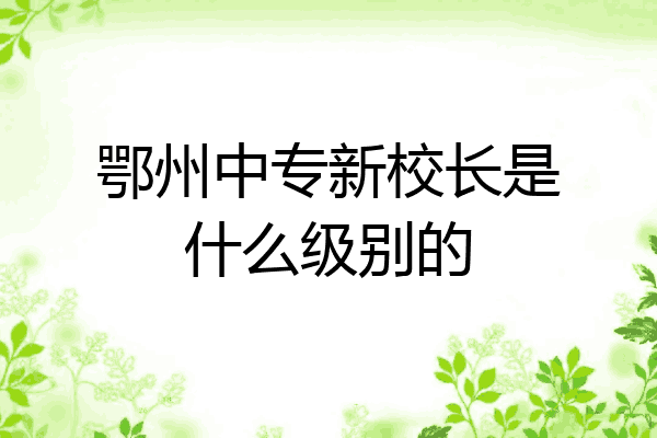 鄂州中专新校长是什么级别的