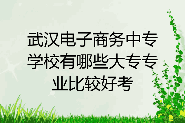 武汉电子商务中专学校有哪些大专专业比较好考