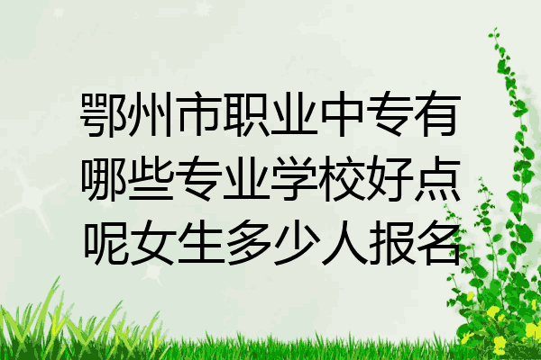 鄂州市职业中专有哪些专业学校好点呢女生多少人报名