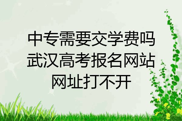 中专需要交学费吗武汉高考报名网站网址打不开