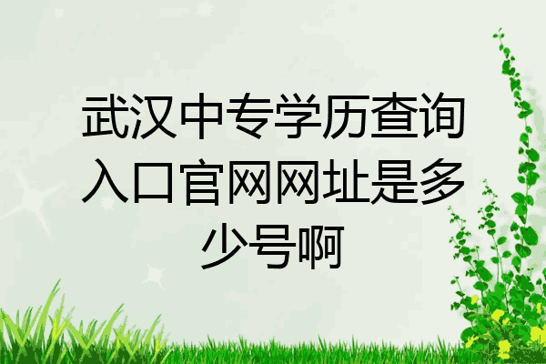 武汉中专学历查询入口官网网址是多少号啊