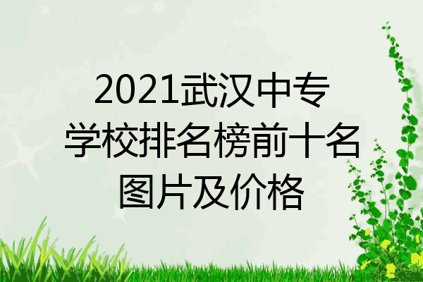 2021武汉中专学校排名榜前十名图片及价格
