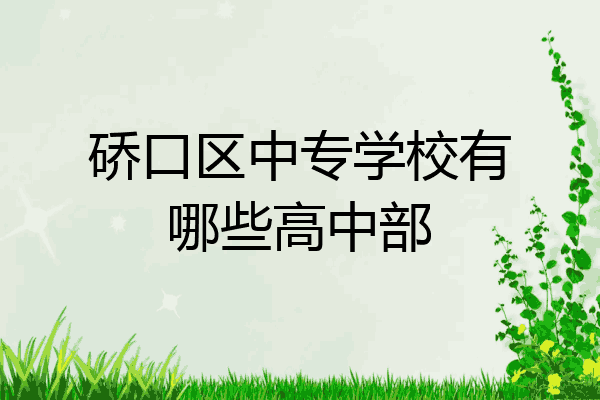 硚口区中专学校有哪些高中部