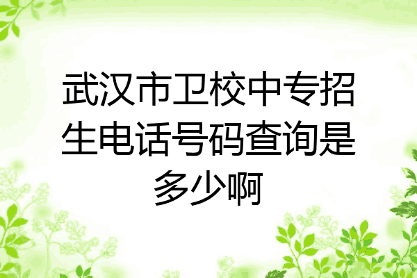 武汉市卫校中专招生电话号码查询是多少啊