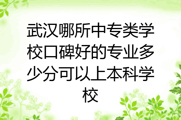 武汉哪所中专类学校口碑好的专业多少分可以上本科学校
