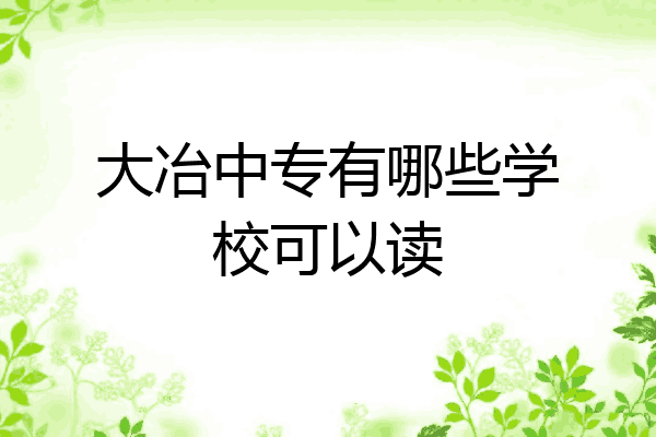 大冶中专有哪些学校可以读