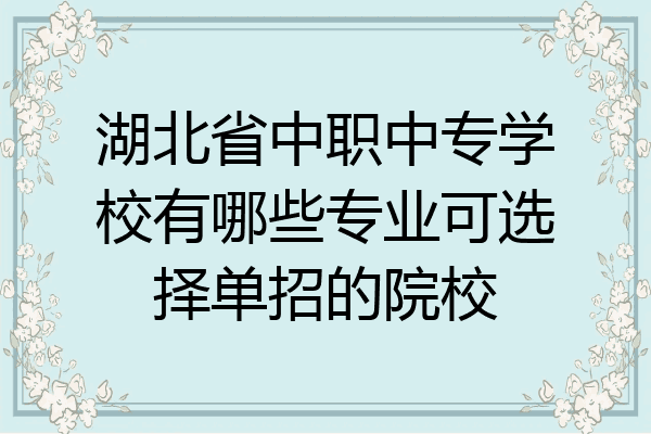 湖北省中职中专学校有哪些专业可选择单招的院校