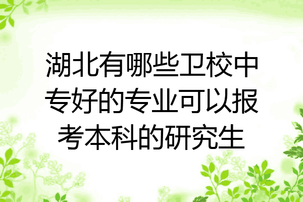湖北有哪些卫校中专好的专业可以报考本科的研究生