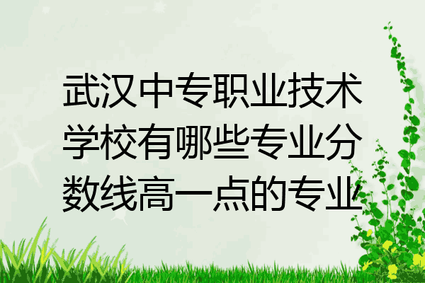 武汉中专职业技术学校有哪些专业分数线高一点的专业
