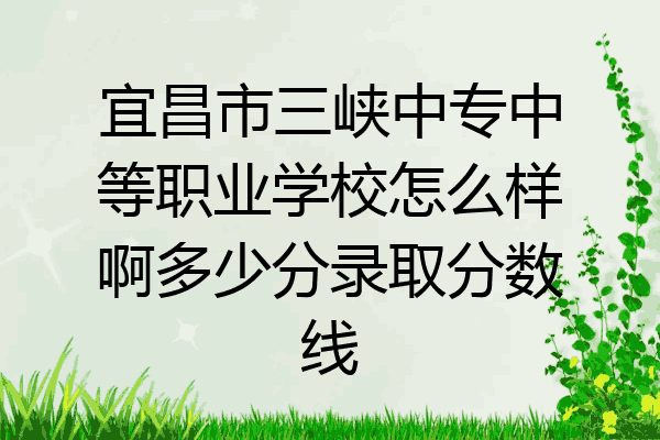 宜昌市三峡中专中等职业学校怎么样啊多少分录取分数线