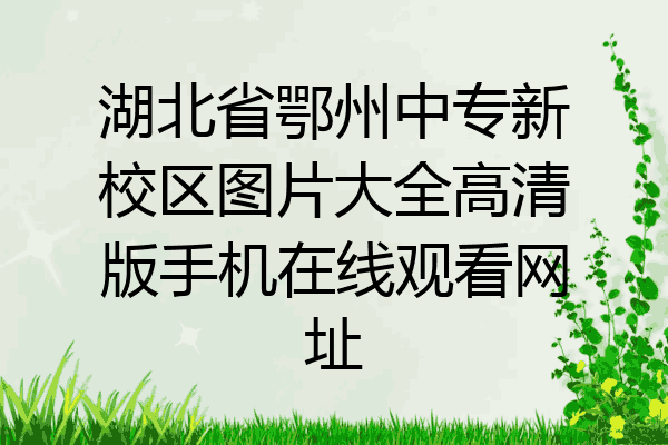 湖北省鄂州中专新校区图片大全高清版手机在线观看网址