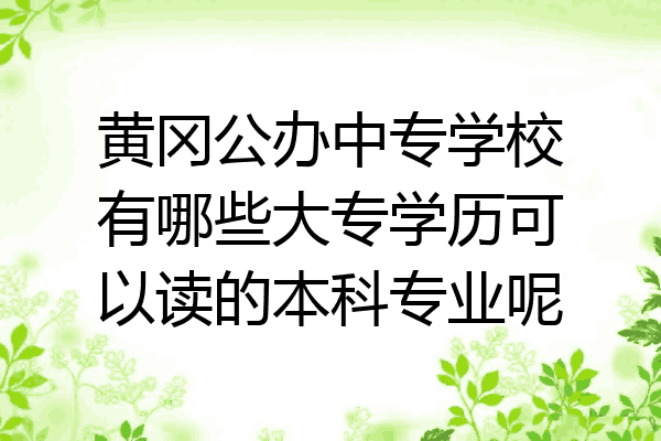 黄冈公办中专学校有哪些大专学历可以读的本科专业呢