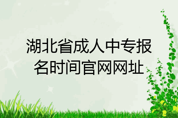 湖北省成人中专报名时间官网网址