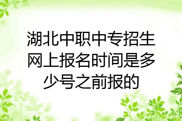 湖北中职中专招生网上报名时间是多少号之前报的