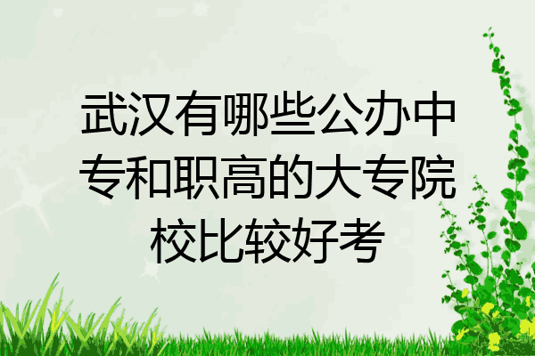 武汉有哪些公办中专和职高的大专院校比较好考