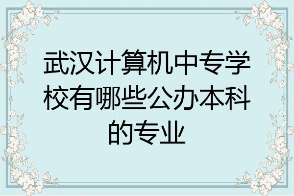 武汉计算机中专学校有哪些公办本科的专业