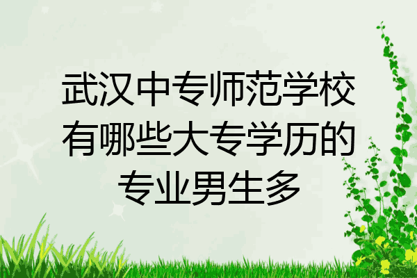 武汉中专师范学校有哪些大专学历的专业男生多