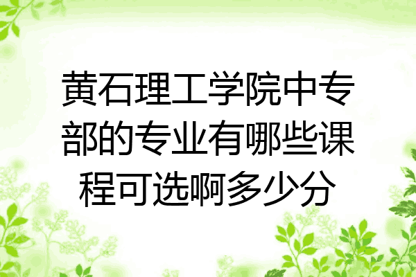 黄石理工学院中专部的专业有哪些课程可选啊多少分