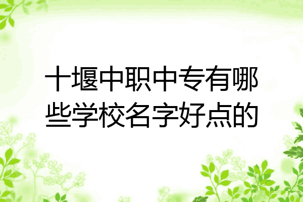十堰中职中专有哪些学校名字好点的