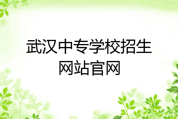武汉中专学校招生网站官网