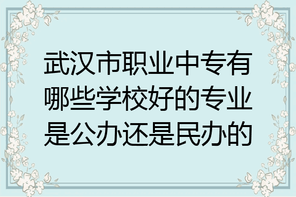 武汉市职业中专有哪些学校好的专业是公办还是民办的
