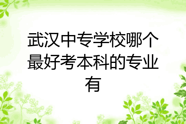 武汉中专学校哪个最好考本科的专业有