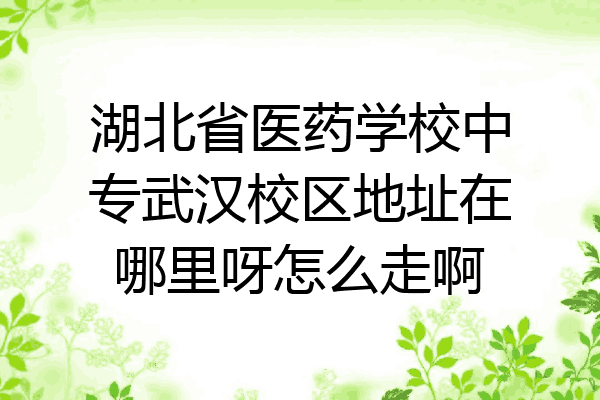湖北省医药学校中专武汉校区地址在哪里呀怎么走啊