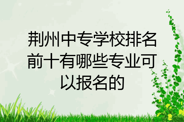 荆州中专学校排名前十有哪些专业可以报名的