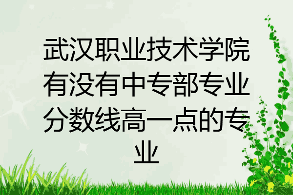 武汉职业技术学院有没有中专部专业分数线高一点的专业
