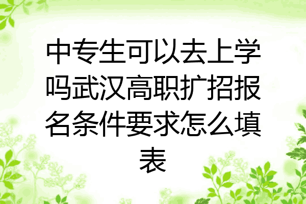 中专生可以去上学吗武汉高职扩招报名条件要求怎么填表